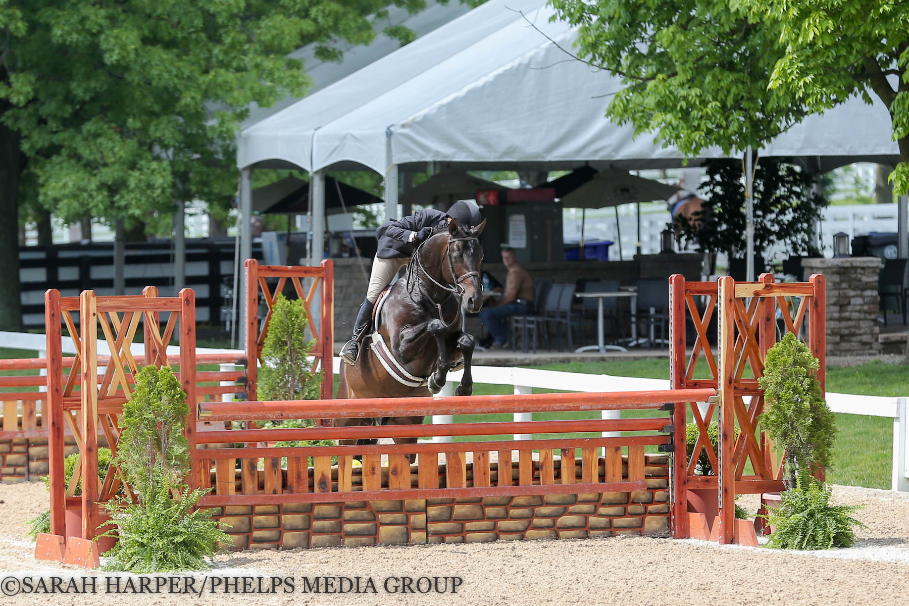 Kelley Farmer Dominates Conformation Hunters On Day One Of The Kentucky