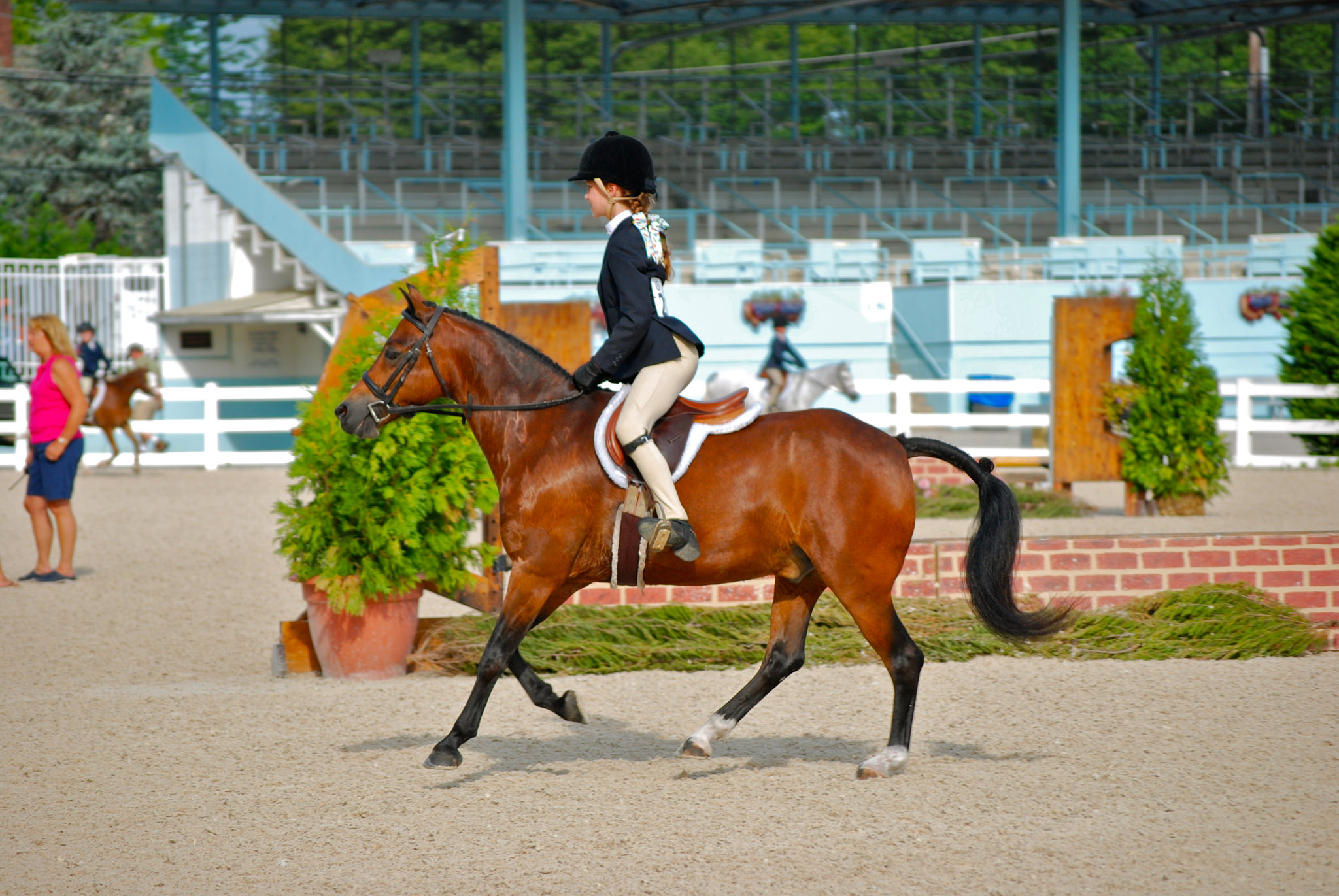 Devon Horse Show Prize List Is Now Live Jumper Nation