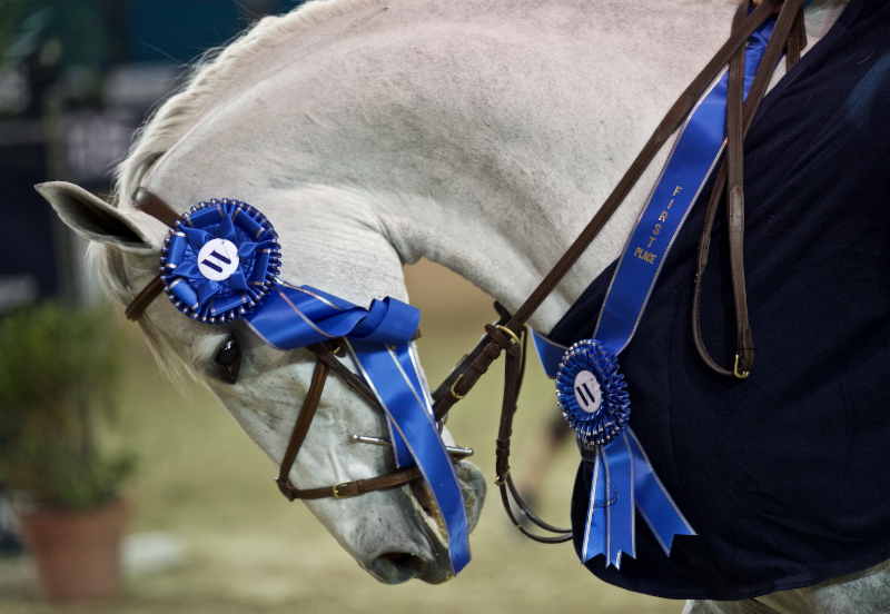 del-mar-international-horse-show-prize-list-jumper-nation