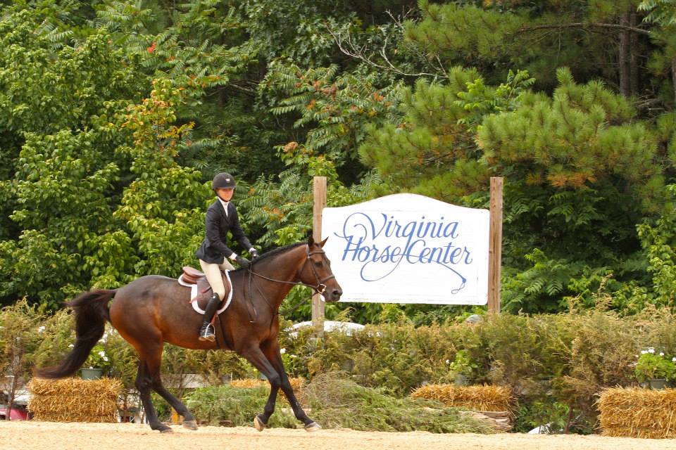 Roanoke Valley Horse Show Returns, Moves to Virginia Horse Center