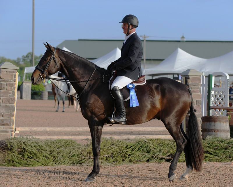 Jeff Ayers and Esclade winners of the USHJA National Derby at St. Christophers Horse Show