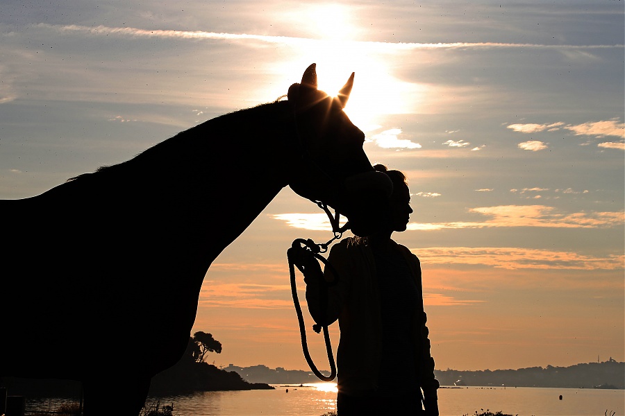 LGCT of Cannes - 6 am by the sea
