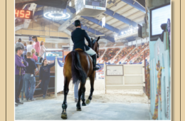 pennsyvania national horse show jumper nation
