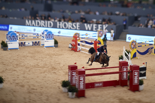 MADRID, SPAIN - NOVEMBER 27: Madrid Horse Week 2015 at IFEMA on November 27, 2015 in Madrid, Spain. (Photo by Manuel Queimadelos / Oxer Sport)