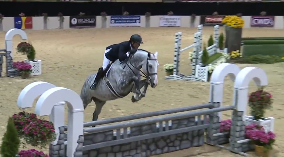 'Catch Me' is Named USEF National Horse of the Year - Jumper Nation