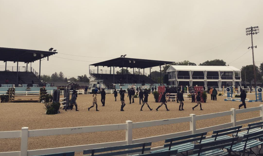 The Devon Horse Show Starts Today! Details, Livestream, Links Jumper