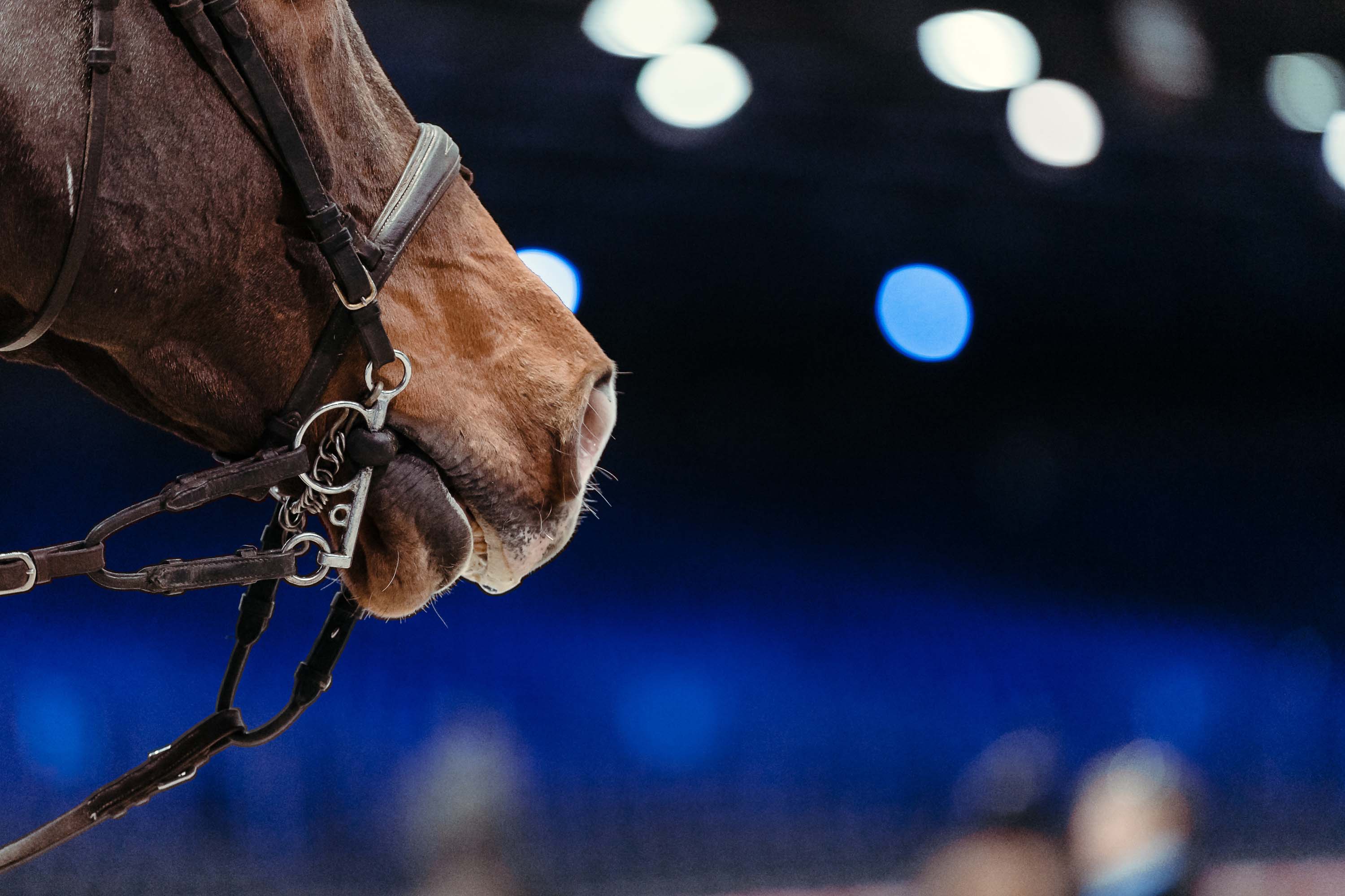 Livestream Alert The Longines Masters of Paris Jumper Nation