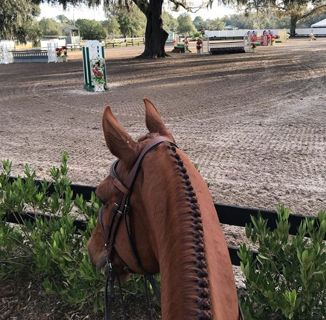 Postcards from HITS Ocala, Presented by Kentucky Performance Products