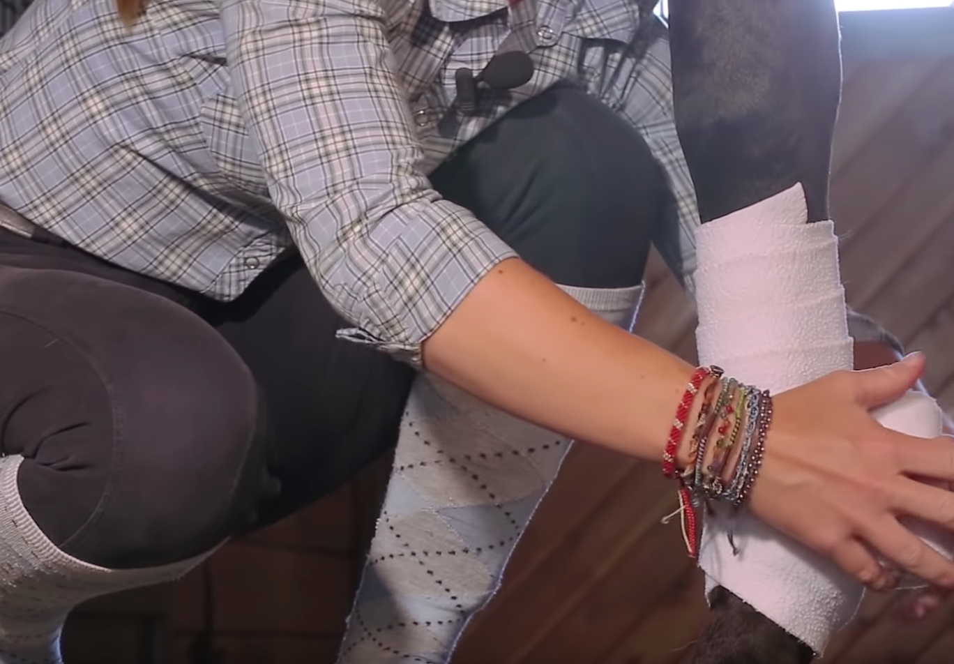 Perfect Your Polo Wrapping Technique, Presented by Draper Therapies