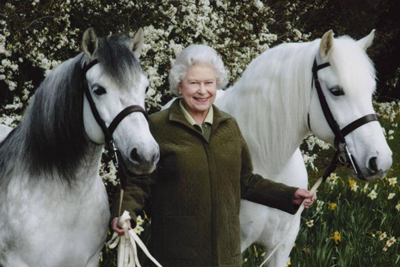 Happy Birthday To Equestrian Her Majesty Qu