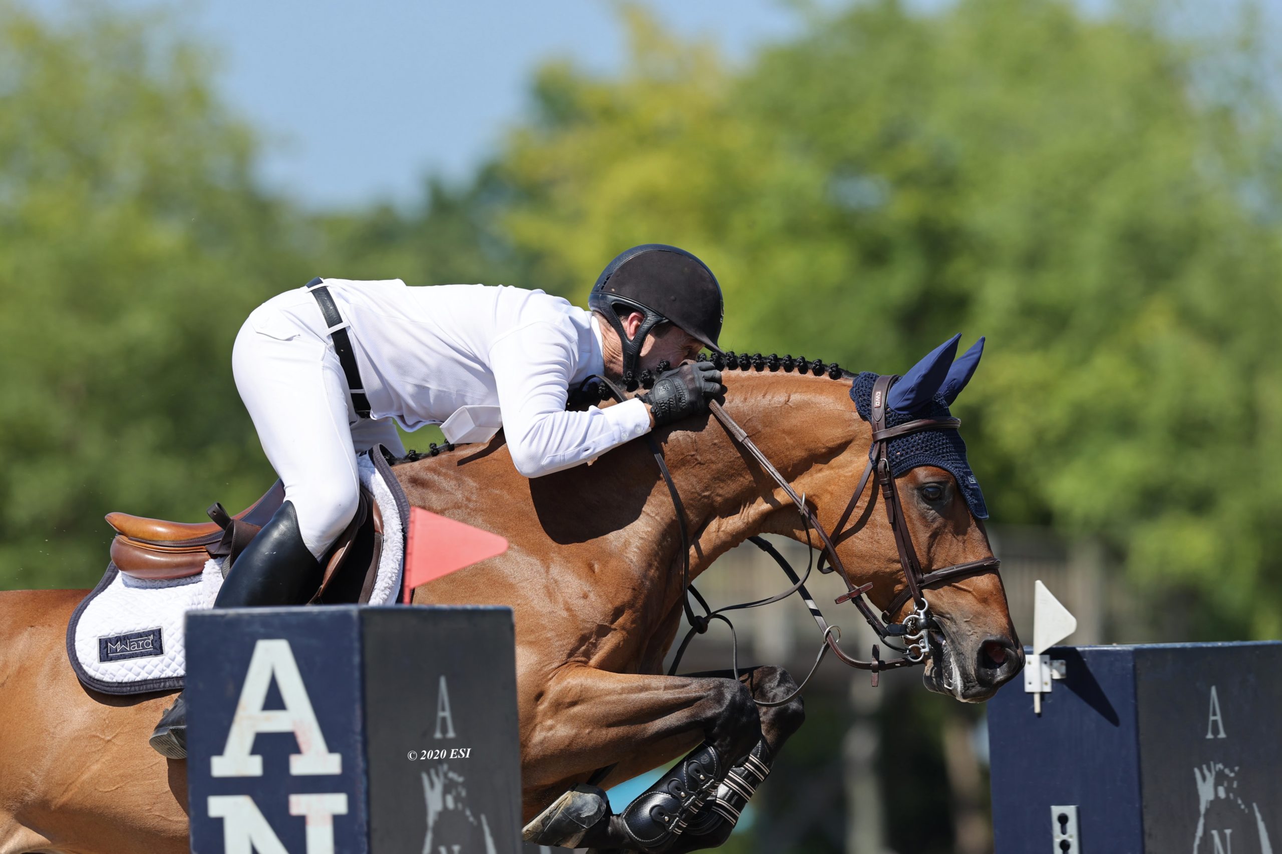 Finalize Your Plans for the HITS Championship in Saugerties - Jumper Nation