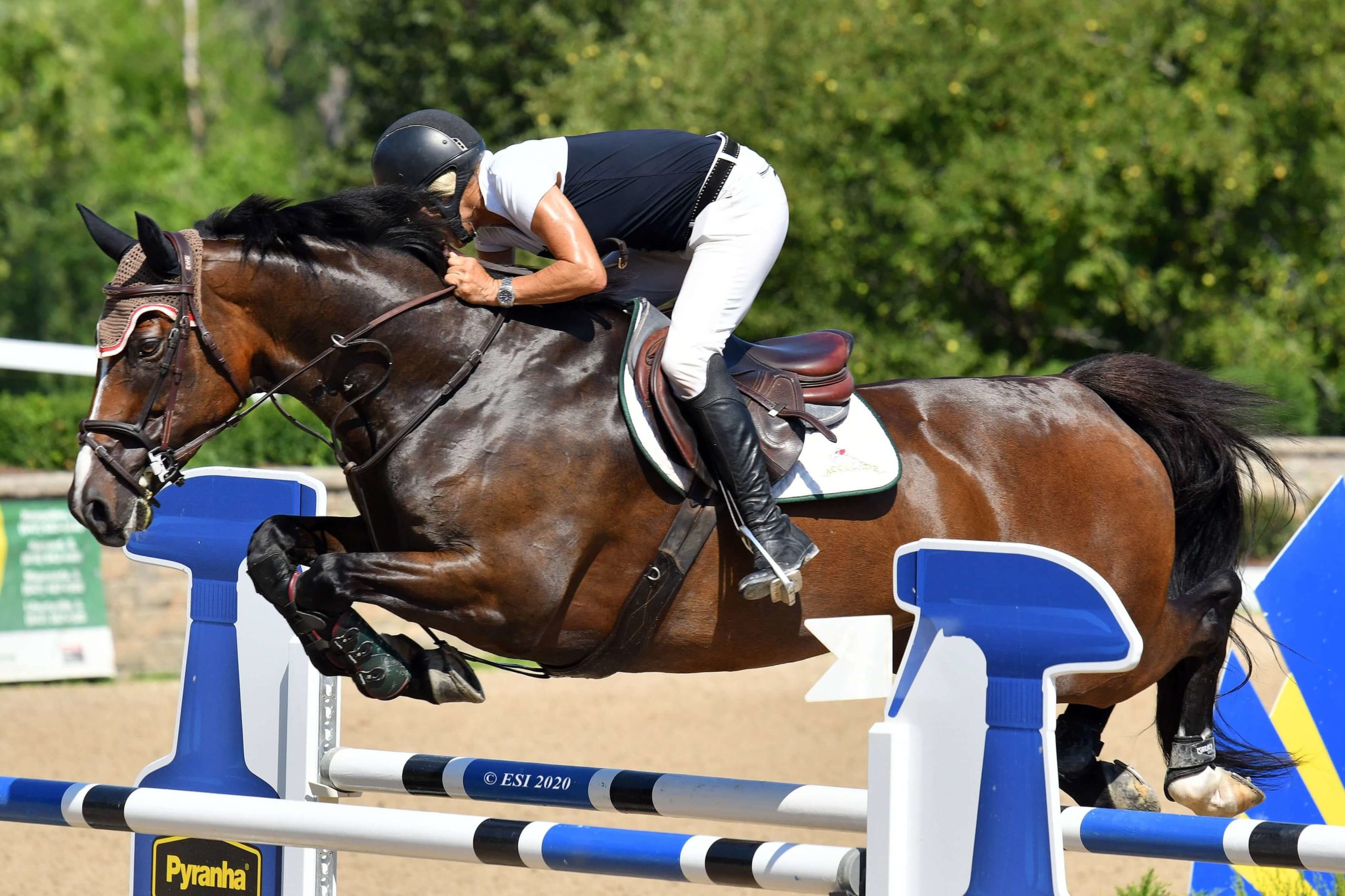 HITS Chicago: Equifest Kicks Off with Holly Shepherd Leading the Way ...