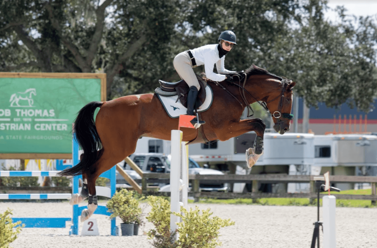 Postcard from CFHJA Show: Tampa, Florida - Jumper Nation