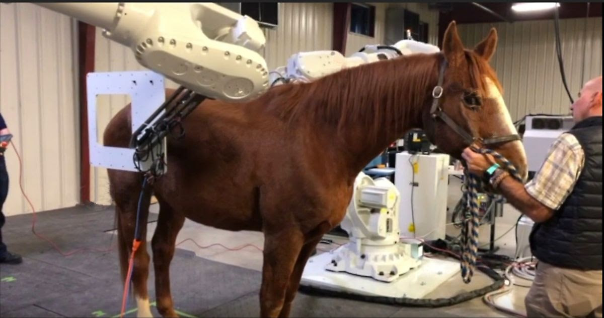 Prisma Progresses to Semifinals of BioPitch at 23rd Annual BioFlorida Prisma Progresses to Semifinals of BioPitch at 23rd Annual BioFlorida