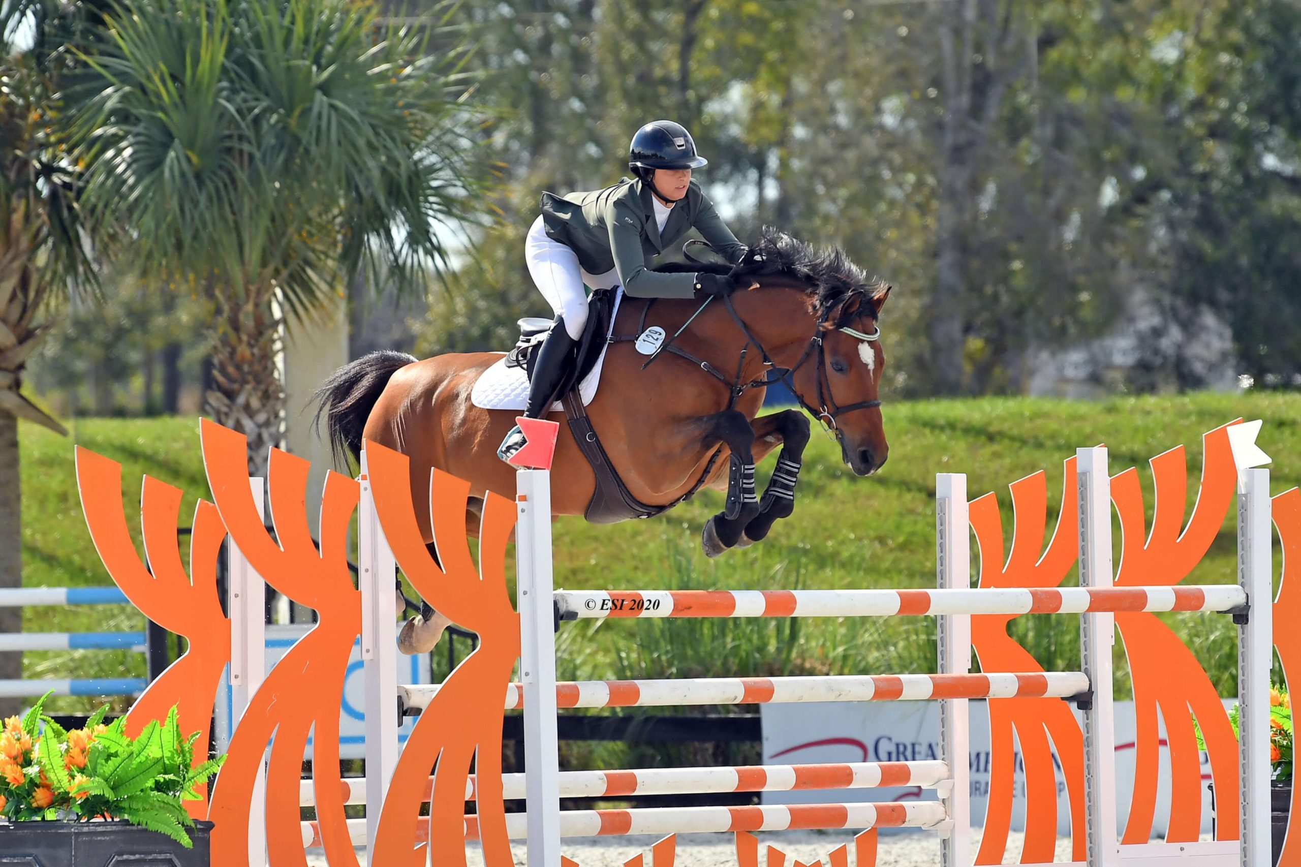 HITS Ocala Winter Circuit: Class Listing & Entries Released - Jumper Nation