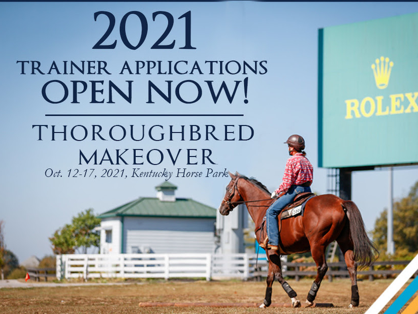 Applications Are OPEN For The 2021 Retired Racehorse Project ...