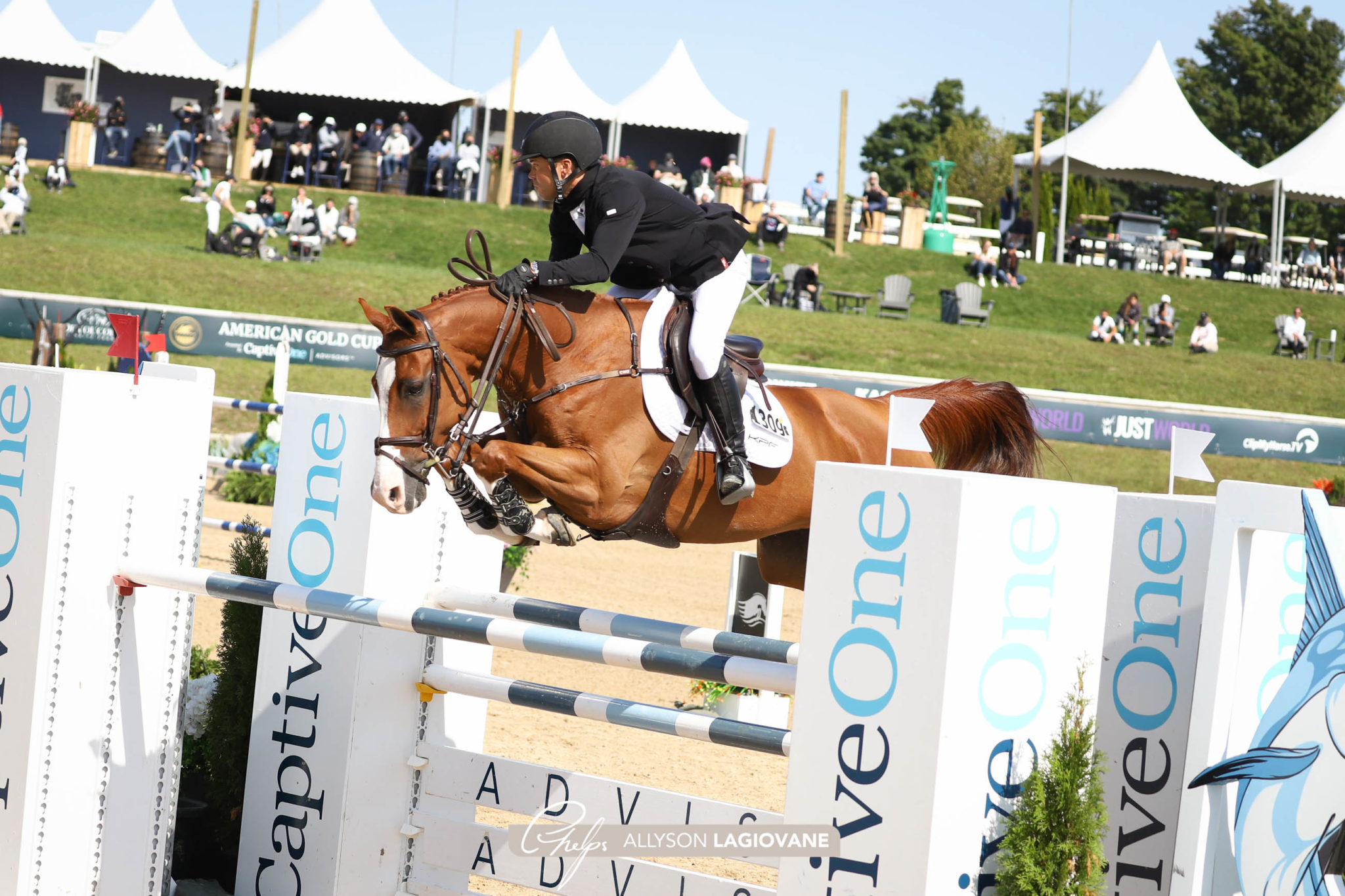 Traverse City Horse Shows Major League Show Jumping Tour